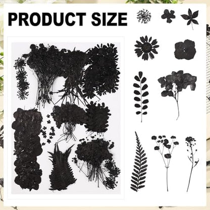 Fabbay 200 Pcs Dried Pressed Flowers Natural Leaves for Resin Nail, Black - Image 3