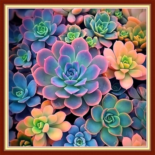 Redxing Stamped Cross Stitch Kits Embroidery kit for Beginners Adults Full Range of Embroidery Patterns Starter Kits DIY Printed Cross Stitch Kits Needlepoint Kits 11CT-Succulent Plants 18x18 inch by RedxingStampedCrossStitchK