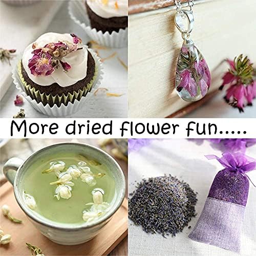 LAVEVE Dried Flowers, 40 Bags 100% Natural Dry Flower Herbs Kit for Crafts - Image 4