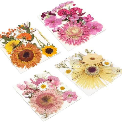 34 Types 60PCS Real Dried Pressed Flowers Leaf Plant Herbarium for DIY Resin Jewelry Making Floral Decors Candle Soap Scrapbook Supplies Card - Image 7