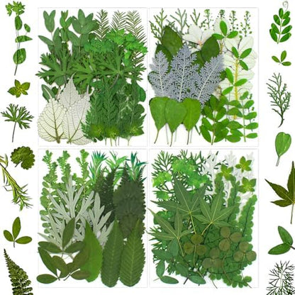 100 Pcs Dried Pressed Flowers Leaves for Resin Molds, Real Natural Bulk Dry Wildflowers Perfect for Epoxy, DIY Crafts, Soap Candles Jewelry Making, and Home Decor by SUAUKEYDRIEDFLOWERS