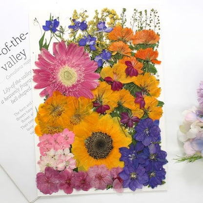 18 Types 75 Pcs Dried Pressed Leaves Flowers Real Natural Dried Plant for DIY Art Crafts, Candle Soap Making, Jewelry, Card Decorations, Phone Case - Image 6
