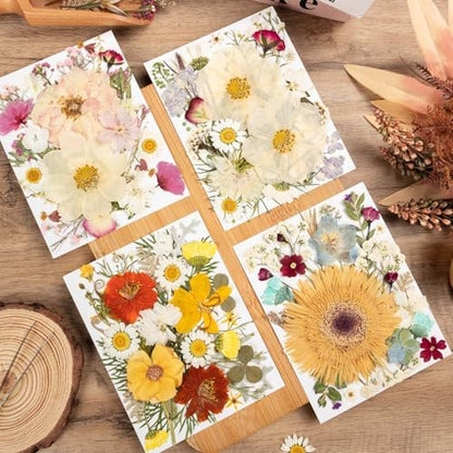 140pcs Dried Pressed Flowers Bulk, Natural Fall Pressed Dried Flowers with Tweezer for DIY Crafts Resin Mold Candles Cake Bridal Scrapbooking Supplies - Image 3