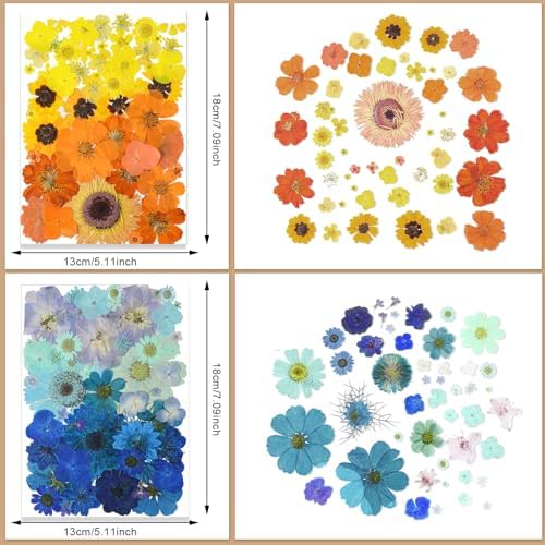 Nuanchu 200 Pcs Pressed Flowers Bulk Dried Flower for Craft Resin Mold Bookmark Scrapbooking Nail Cake White Orange Natural Pressed Dried Floral with Tweezer DIY Gift(Bright Color,Natural Style) - Image 3
