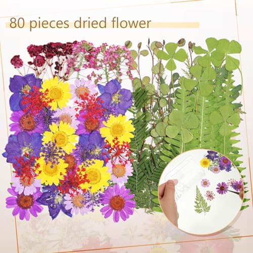 TaoBary 161 Pcs Transparent Dried Flower Bookmarks DIY Kit, Pretty - Image 5