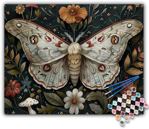 Paint by Numbers Kit for Adults, Butterfly DIY Acrylic Canvas Painting Set by Offito