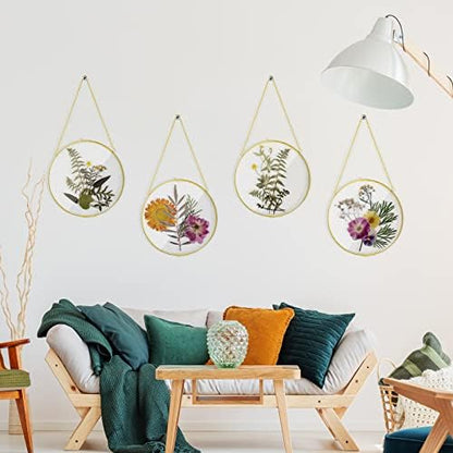 5 Inch 4 Pcs Pressed Flower Frames Double Glass Frame Wall Decor, Gold - Image 6