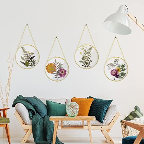 4 Inch 4 Pcs Pressed Flower Frames Double Glass Frame Wall Decor, Gold - Image 6