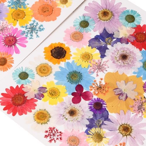 80PCS Multicolor Pressed Dried Flowers Dry Leaves - Image 4