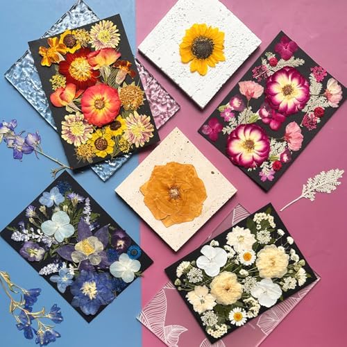 MIKIYA 92Pcs Pressed Dried Flowers for Resin, Real Assorted Natural Bulk Dry Floral Leaves for DIY Art Crafts, Epoxy Molds, Jewelry, Soap, Candle Making, Nails Decors - Image 3