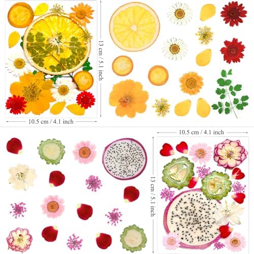 MIKIYA 75Pcs Pressed Dried Flowers Fruits for Resin Molds, Real Natural Bulk Assorted Dry Floral Leave for DIY Art Crafts, Epoxy Jewelry, Candle, Soap Making, Nails Decors Gifts - Image 5
