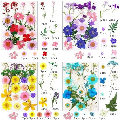 190 Pcs Dried Pressed Flowers for Resin, Real Dried Pressed Flowers for Resin Butterfly Stickers DIY Art with Tweezers Crafts Decorate for Candles Jewelry Nail Crafts - Image 2
