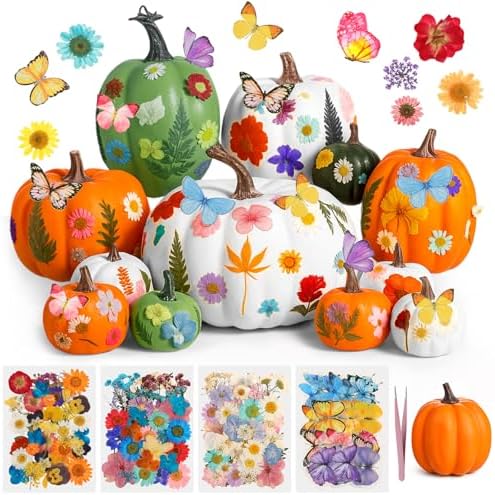 Canlierr 12 Pcs Large Craft Pumpkins & 150 Dried Flower, Orange White Green by Canlierr