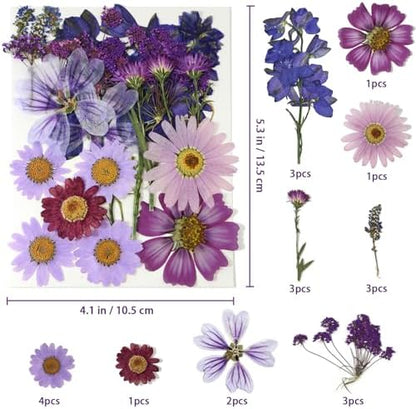 Purple Dried Pressed Flowers Real Natural Petals Bulk for Scrapbooking Art Crafts DIY Gift Papermaking Resin Party Decorations Candle Soap Card Jewelry Making Supplies - Image 2