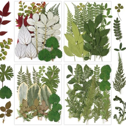 84 Pcs Dried Pressed Leaves Flowers Real Natural Dried Leaves Plant Kit Assorted Dried Greenery for Resin Art DIY Crafts Party Decorations Bookmarks Scrapbooking Candle Soap Making, 20 Types by Unknown