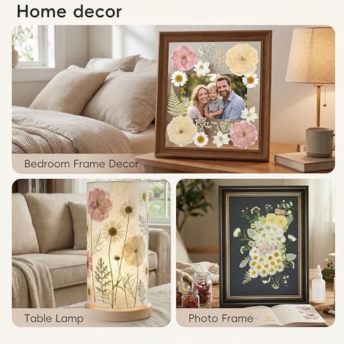LUXEEASE 80P White Pink Dried Pressed Flowers - Image 6
