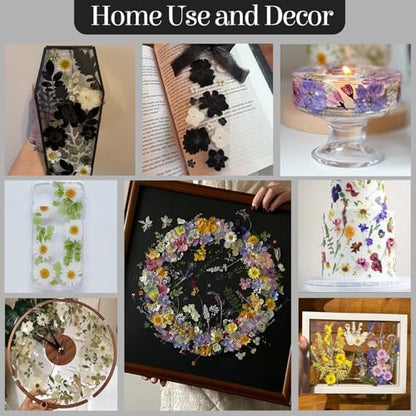 85 PCS Black Dried Pressed Flowers for Crafts Resin - Image 5