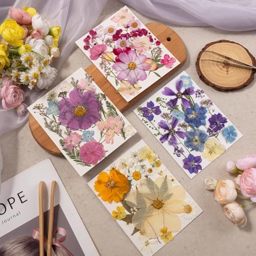80PCS Spring Large Pressed Flowers Leaves , Real Nature Dry Flowers for Resin Craft, Larage Pressing Floral with Tweezers Set for DIY Jewelry Making Nail Card Scrapbook Art - Image 3
