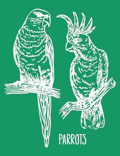 DGAGA Parrot Self-Adhesive Silk Screen Stencil Mesh Transfers Various Birds Pattern for Festival Stencils Screen Printing Stencils for Painting on Wood, Home Decor,Bag, T-Shirts 8.5x11 in by DGAGA