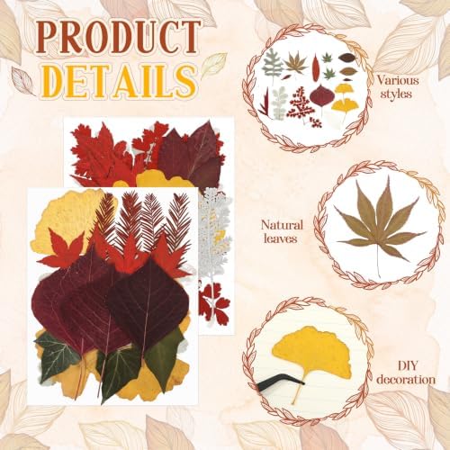 Timtin 84 Pcs Dried Pressed Leaves Flowers for Resin, Fresh - Image 3
