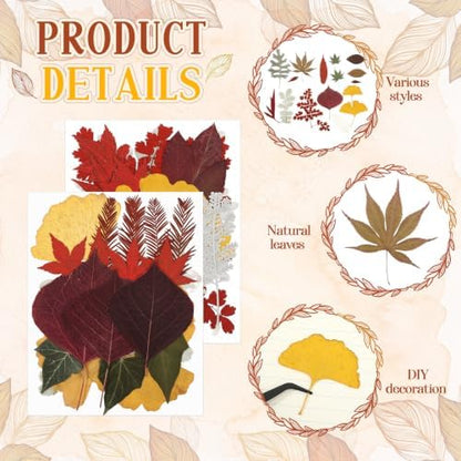 Timtin 84 Pcs Dried Pressed Leaves Flowers for Resin, Fresh - Image 3