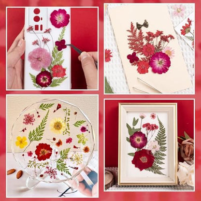 101 PCS Red Dried Pressed Flowers for Christmas Crafts Resin, Red Real Nature Flowers Bulk for DIY Holiday Cake Card Scrapbook Supplies, Large Dried Flowers for Soap Candle Making - Image 5