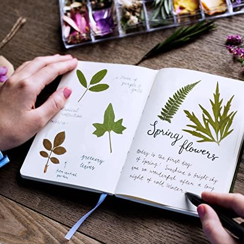 Timtin 84 Pcs Dried Pressed Leaves Flowers for Resin, Classic - Image 6