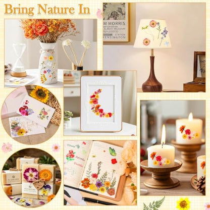 470 PCS Pressed Flowers for Crafts, Real Natural Dry Flowers with Tweezers Dried Pressed Flowers Dry Leaves Bulk for Resin, Scrapbook, Jewelry, Card, Candle & Soap Making - Image 6