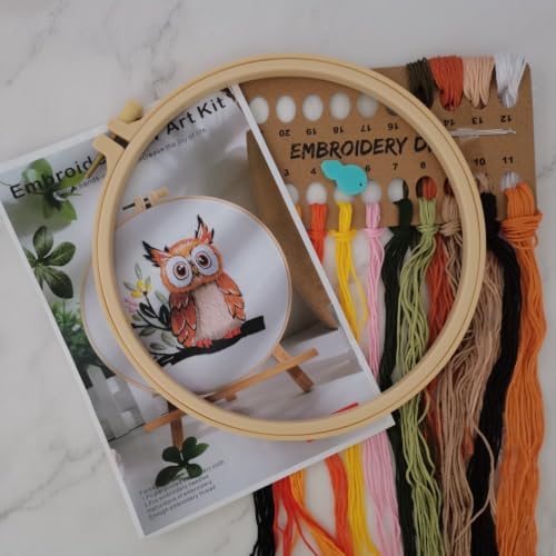 Embroidery Starter Kit for Adult Beginner with Owl Pattern Hand Stitch Set - Image 2