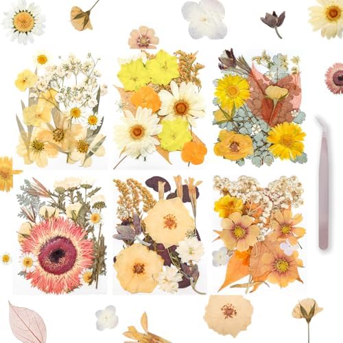 Dried Pressed Flowers Real Pressed Flowers Natural Dry Leaves Bulk Mixed Colorful Herbs Kit with Tweezers for Scrapbooking DIY Candle Jewelry Crafts Making Nails (Vintage Colors) by Gvhntk