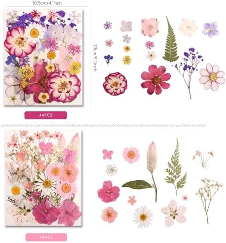 182 PCS Real Pressed Dried Flowers and Leaves for DIY Crafts - Image 2