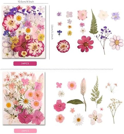 182 PCS Real Pressed Dried Flowers and Leaves for DIY Crafts - Image 2