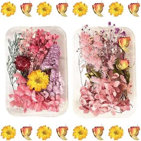 2PCS Dried Flowers Kit, Natural Dried Flowers Kit for DIY Crafts, Scrapbook, Card Making (Style15_28) by Unknown