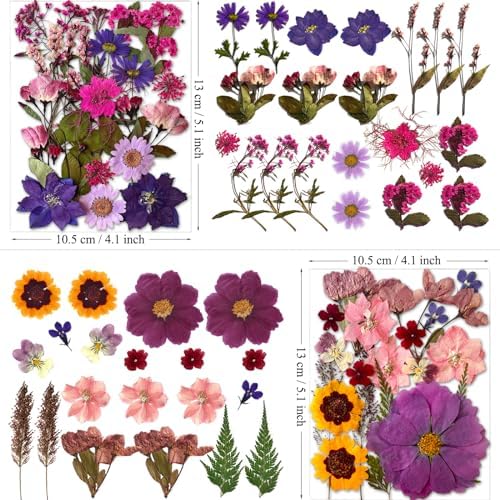 MIKIYA 85Pcs Dried Pressed Flowers for Resin Molds, Real Natural Bulk Dry Floral Leave for DIY Art Crafts, Epoxy Jewelry, Candle, Soap Making, Nails Decors Gifts - Image 5