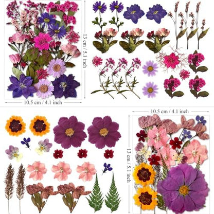 MIKIYA 85Pcs Dried Pressed Flowers for Resin Molds, Real Natural Bulk Dry Floral Leave for DIY Art Crafts, Epoxy Jewelry, Candle, Soap Making, Nails Decors Gifts - Image 5