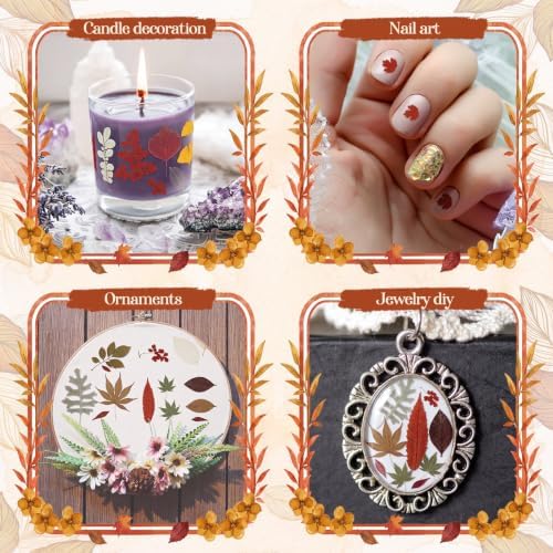 Timtin 84 Pcs Dried Pressed Leaves Flowers for Resin, Fresh - Image 4