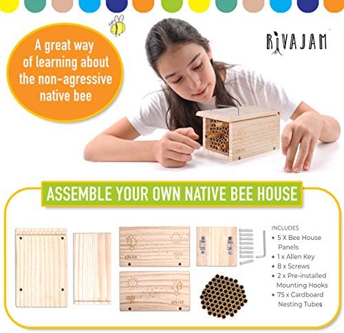 Rivajam Build a Bee House DIY Woodworking Project | Solitary Mason Bee House Nesting Box Wood Building Kit & Tools | Garden Arts & Crafts Activities for Toddler Boys & Girls Kids Teens Adults & Family - Image 4