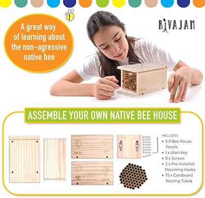 Rivajam Build a Bee House DIY Woodworking Project | Solitary Mason Bee House Nesting Box Wood Building Kit & Tools | Garden Arts & Crafts Activities for Toddler Boys & Girls Kids Teens Adults & Family - Image 4