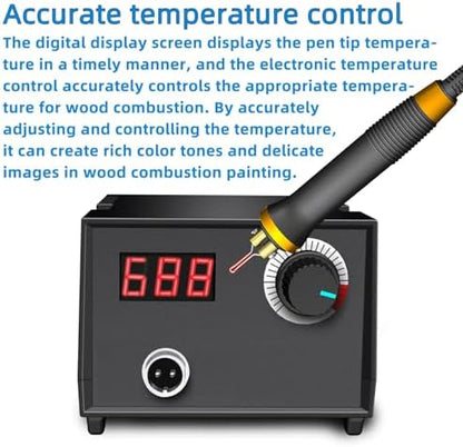 FIRElood Wood Burning Tool,Wood Burning kit Pen 25~750℃,Professional Wood Burning kit,with Digital Thermometer Temperature Adjustable Temperature,1 Wood Burning pens, 30 Wood Burning Pen Tips - Image 2