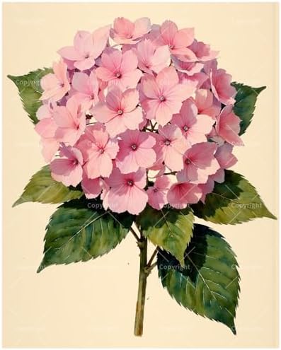 Botanical Paint by Numbers Kit for Adults - DIY Pink Hydrangea Stem Painting on Canvas 16x20 Inches, Acrylic Paint Set, Suitable for Beginners, Flower Art for Home Decoration or Gifts by Unknown