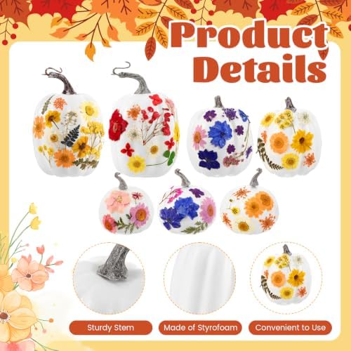 Pinkunn 24 Pcs Artificial Pumpkin and 140 Pcs Dried Flowers, White - Image 6