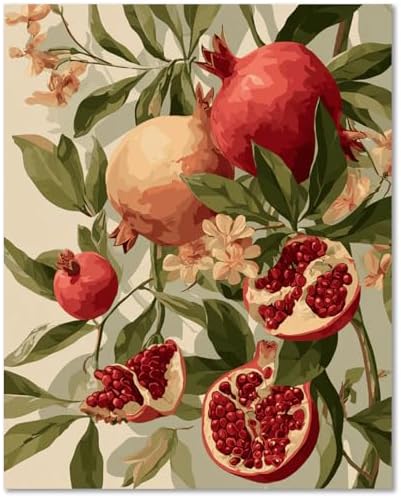 Fruit Paint by Numbers Kit for Adults, Paint by Number for Adults 16x20inch by Unknown