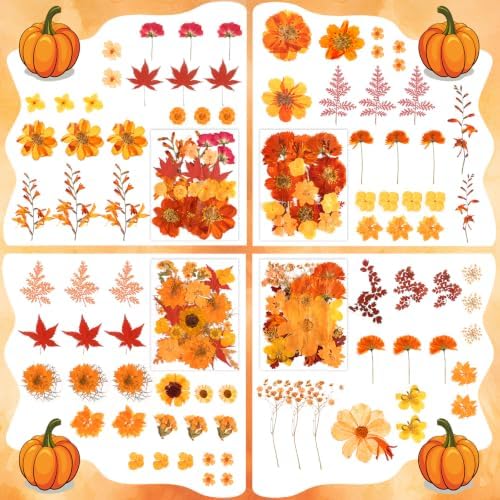 170 PCS Fall Dried Pressed Flowers with Tweezers, Real Nature Dried Flowers Orange Autumn Pressed Florals Set for Resin Scrapbooking Vase Candle Making Card Scrapbook Craft Floral Decors - Image 3