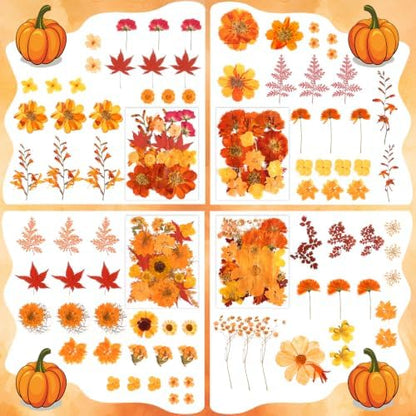 170 PCS Fall Dried Pressed Flowers with Tweezers, Real Nature Dried Flowers Orange Autumn Pressed Florals Set for Resin Scrapbooking Vase Candle Making Card Scrapbook Craft Floral Decors - Image 3