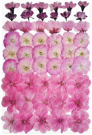 51 Pcs Real Natural Cherry Blossom Dried Pressed Flowers - Delicate Pink Florals for Resin Jewelry, Candle Making, Frame Decor & DIY Craft Projects by Unknown