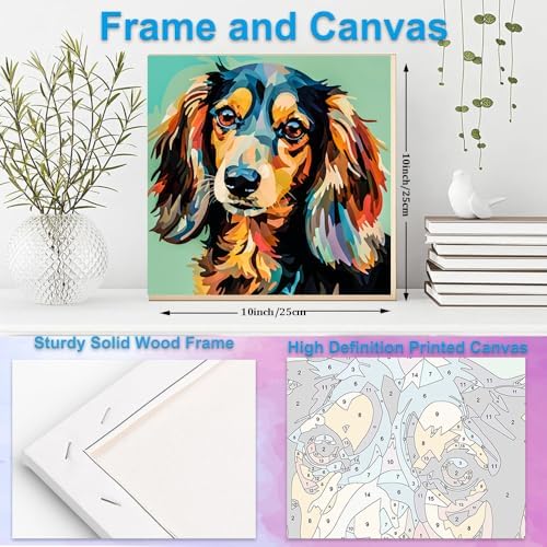 Artunion Framed Paint by Numbers Kit for Adults Beginners & Kids Ages 8-12,Colorful Dachshund Dog Paint by Number with Frame,Dog Animal Paint by Numbers Kit on Canvas 10 * 10 Inch Without Easel - Image 5