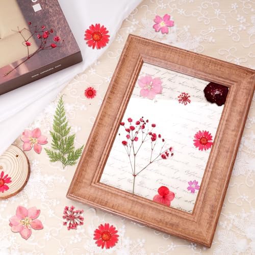 Dried Pressed Flowers Real Pressed Flowers Natural Dry Leaves Bulk Mixed Colorful Herbs Kit with Tweezers for Scrapbooking DIY Candle Jewelry Crafts Making Nails (Red) - Image 4