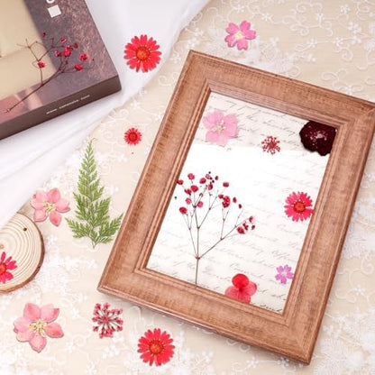 Dried Pressed Flowers Real Pressed Flowers Natural Dry Leaves Bulk Mixed Colorful Herbs Kit with Tweezers for Scrapbooking DIY Candle Jewelry Crafts Making Nails (Red) - Image 4