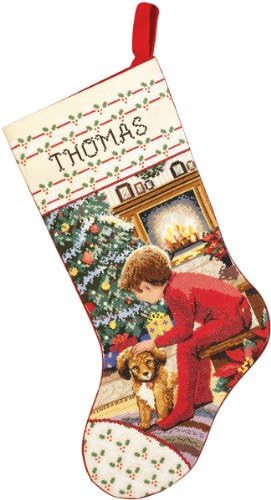 Janlynn Counted Cross Stitch Kit, Waiting for Santa Stocking by Janlynn