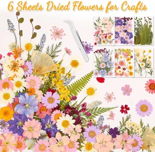 Evatage 124 Pcs Real Dried Pressed Flowers and Leaves for Resin Crafts - Image 6